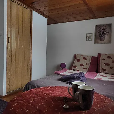 Home Stay Słotwińska Krynica-Zdrój Zewnętrze zdjęcie